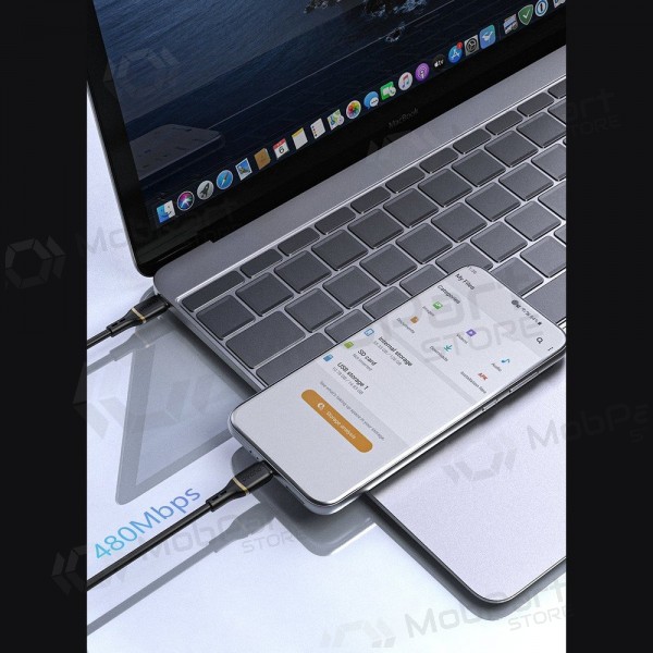 USB-C kabel Dudao L25C USB-C na USB-C 1 m 60 W černý