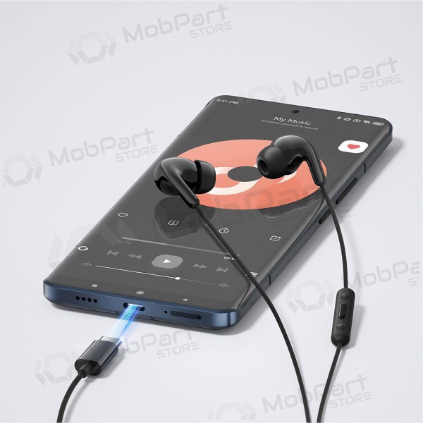 Ausinės Xiaomi USB-C BHR8930GL